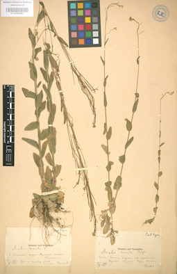 LE 01004491