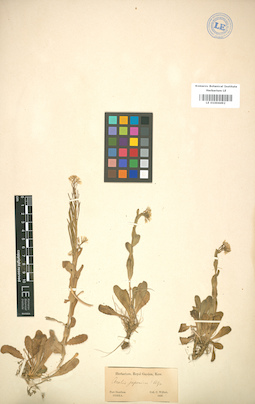 LE 01004492