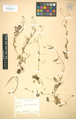 LE 01004493