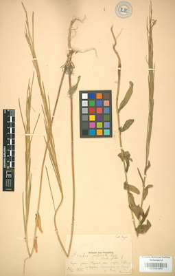 LE 01004496