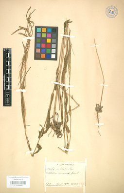 LE 01004497