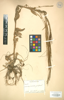 LE 01004498
