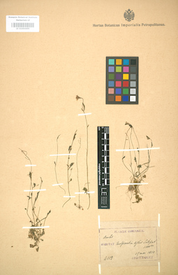 LE 01004499