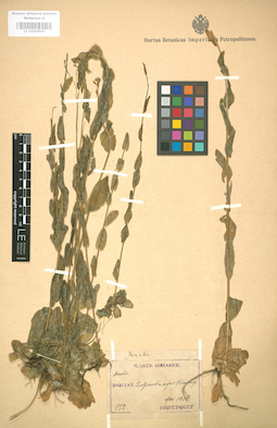 LE 01004500
