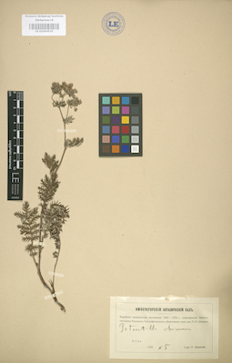 LE 01004510