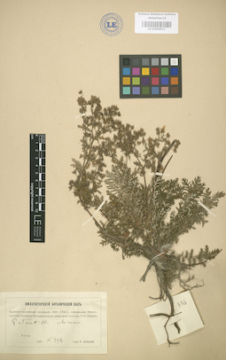 LE 01004511