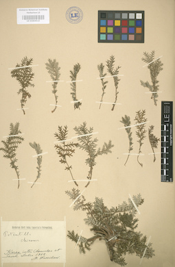 LE 01004515
