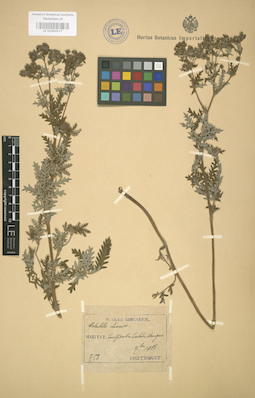 LE 01004517