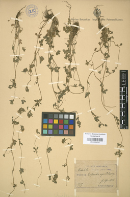 LE 01004542