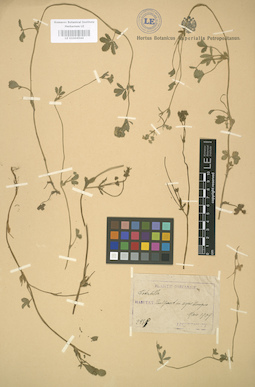 LE 01004544