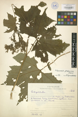 LE 01004547