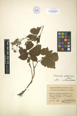 LE 01004548