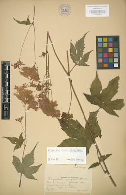 LE 01004553
