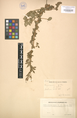 LE 01004554