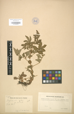 LE 01004555