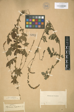 LE 01004557