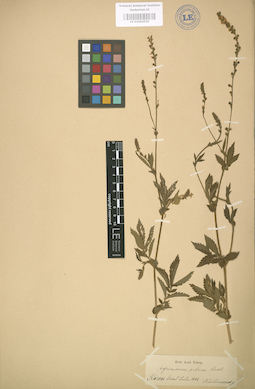 LE 01004559