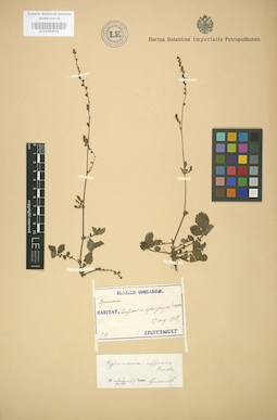 LE 01004561