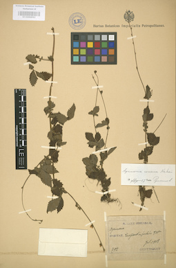 LE 01004562