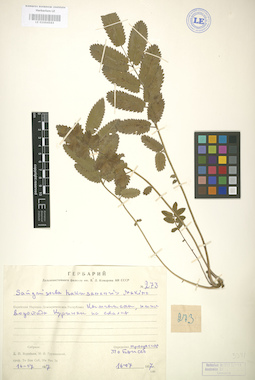 LE 01004563
