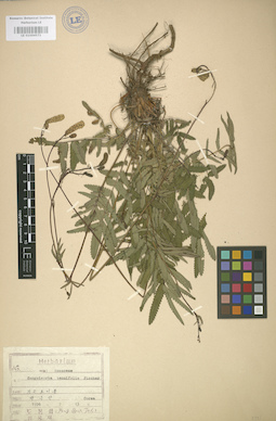 LE 01004571