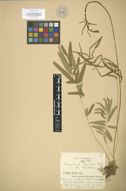 LE 01004572