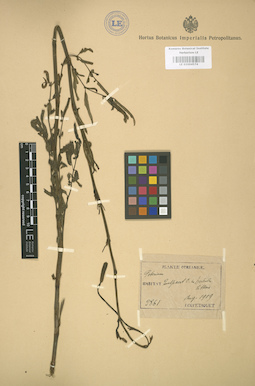LE 01004574