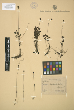LE 01004575