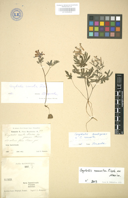 LE 01004619