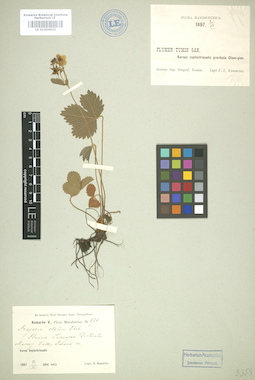 LE 01004622