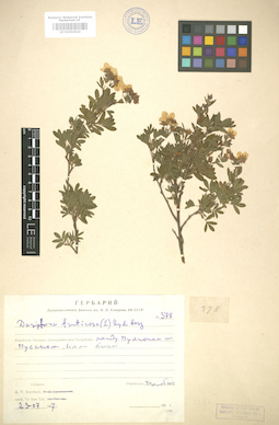 LE 01004624