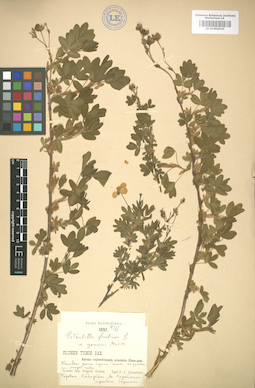 LE 01004625