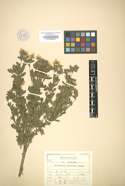 LE 01004626