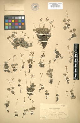 LE 01004636