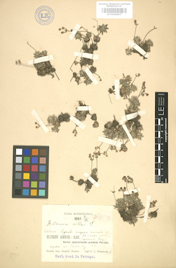 LE 01004637