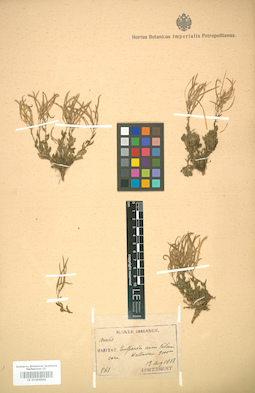 LE 01004660