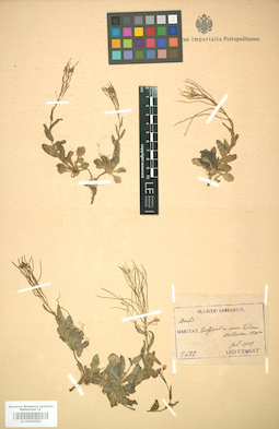 LE 01004661