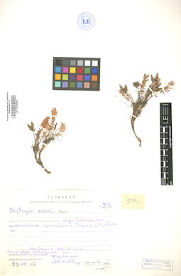 LE 01004666