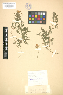 LE 01004677