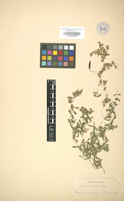 LE 01004678
