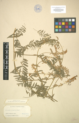 LE 01004681