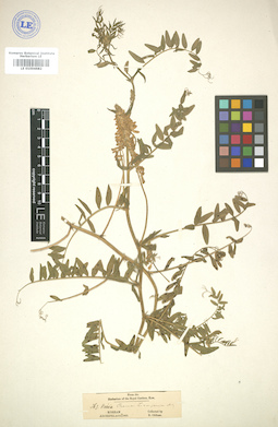 LE 01004682