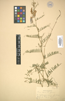 LE 01004683