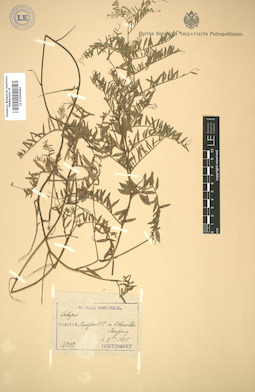 LE 01004684