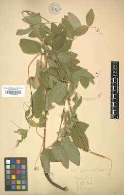 LE 01004693
