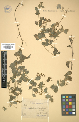 LE 01004695