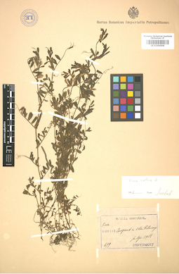 LE 01004698