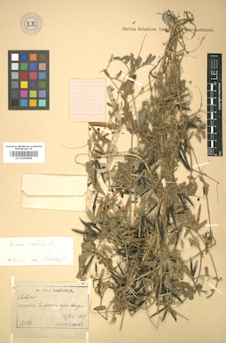 LE 01004699