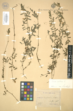 LE 01004700