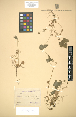 LE 01004711